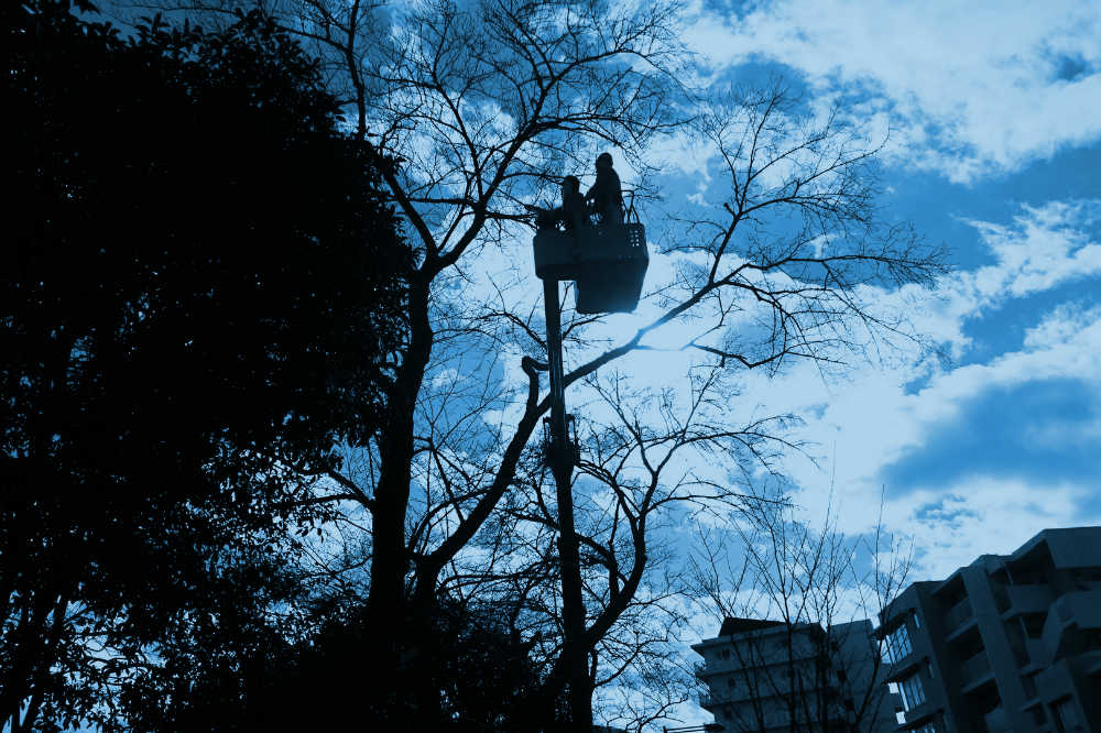 dsc_0307_blue.jpg