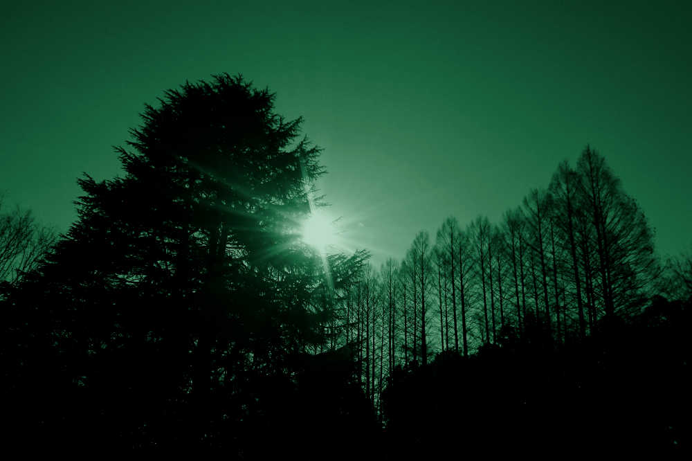 dsc_0309_green2.jpg